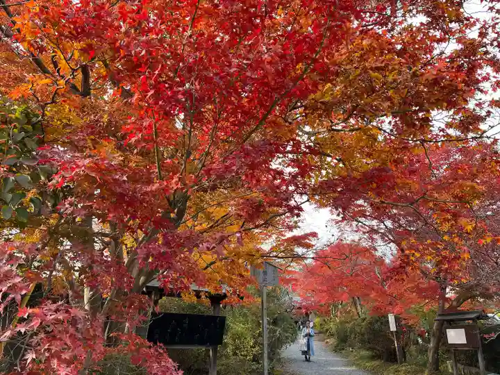 常照寺(京都府)