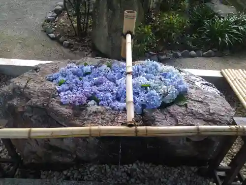 阿智神社の手水