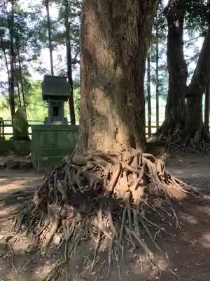 薩都神社(茨城県)