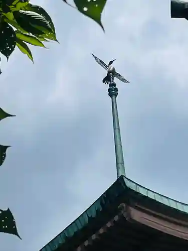 大雲院(京都府)