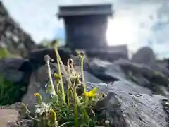 山家神社奥宮の自然