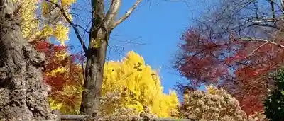 烏帽子山八幡宮(山形県)