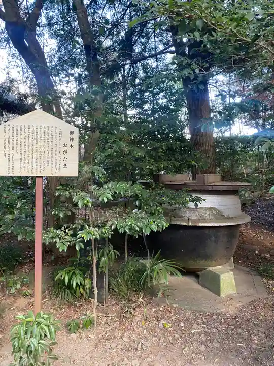 大宝八幡宮(茨城県)