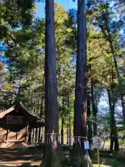 間々田八幡宮(栃木県)