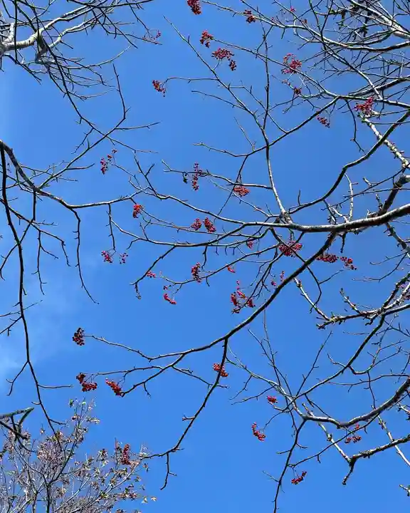 釧路一之宮 厳島神社の自然
