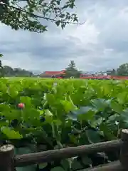 猿賀神社の自然