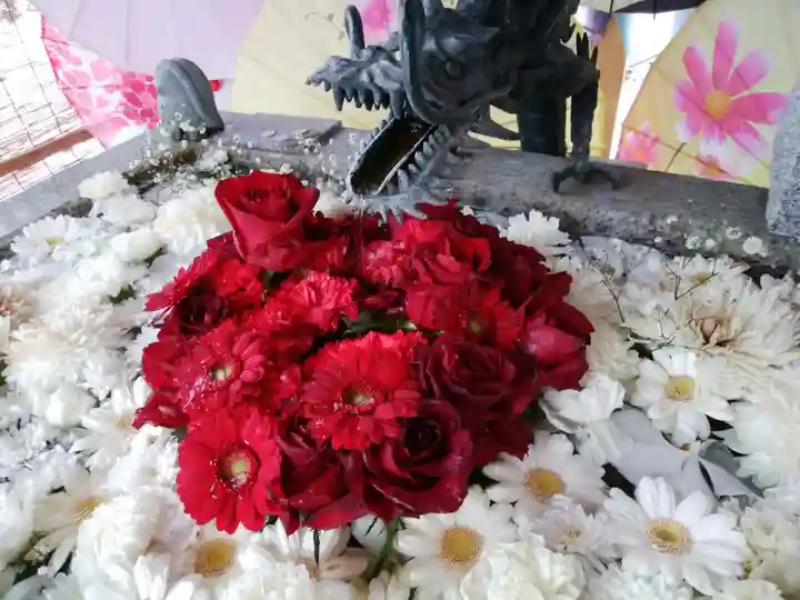 札幌諏訪神社の手水舎