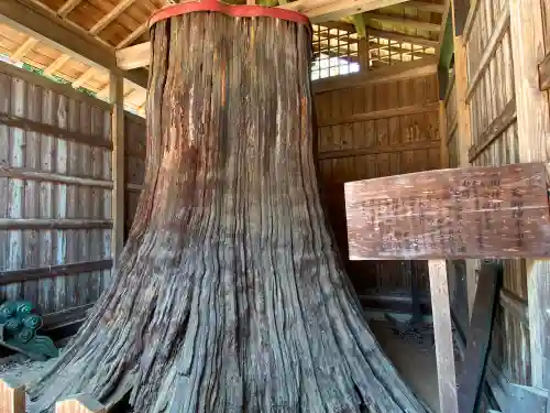 常陸二ノ宮　静神社の自然