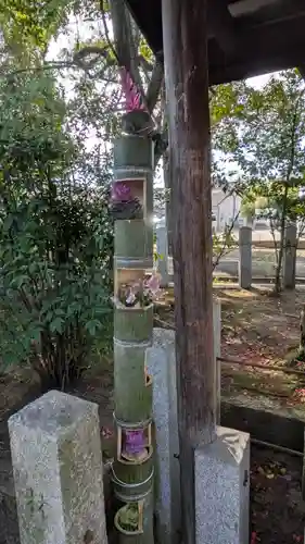 大藤神社(京都府)