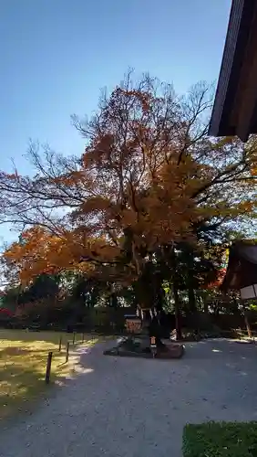 武田神社の庭園