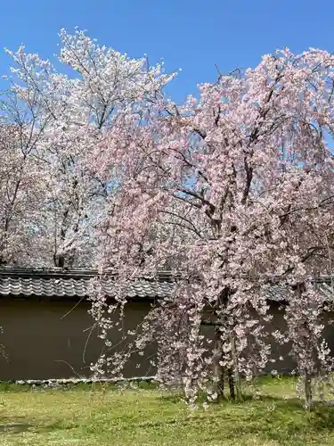 宝聚院(京都府)