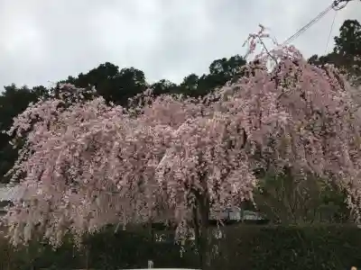 大野寺(奈良県)