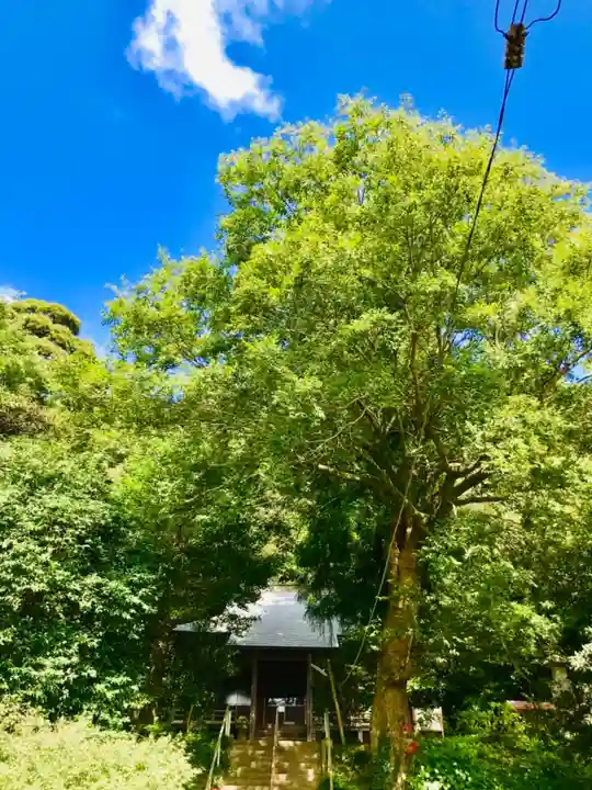 薬師寺のその他建物