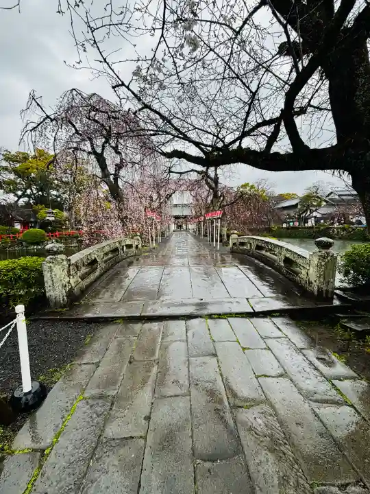 三嶋大社の{uncategorized: "未分類", other: "その他", undefined: "問題あり", building: "その他建物", grave: "お墓", sacred_gate: "鳥居", guardian: "狛犬", statue: "像", buddha: "仏像", history: "歴史", nature: "自然", garden: "庭園", animal: "動物", pagoda: "塔", temizu: "手水舎", mountain_gate: "山門・神門", sanctuary: "本殿・本堂", subordinate: "末社・摂社", art: "芸術", scenery: "景色", jizo: "地蔵", ema: "絵馬", goshuin: "御朱印", omikuji: "おみくじ", items: "授与品その他", amulet: "お守り", goshuincho: "御朱印帳", eats: "食事", festival: "お祭り", votive_dance: "神楽", shichigosan: "七五三参", wedding: "結婚式", experience: "体験その他", initially: "初詣", around: "周辺", anti_infection: "感染症対策"}