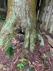 三和神社の像