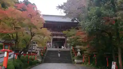 鞍馬寺の{uncategorized: "未分類", other: "その他", undefined: "問題あり", building: "その他建物", grave: "お墓", sacred_gate: "鳥居", guardian: "狛犬", statue: "像", buddha: "仏像", history: "歴史", nature: "自然", garden: "庭園", animal: "動物", pagoda: "塔", temizu: "手水舎", mountain_gate: "山門・神門", sanctuary: "本殿・本堂", subordinate: "末社・摂社", art: "芸術", scenery: "景色", jizo: "地蔵", ema: "絵馬", goshuin: "御朱印", omikuji: "おみくじ", items: "授与品その他", amulet: "お守り", goshuincho: "御朱印帳", eats: "食事", festival: "お祭り", votive_dance: "神楽", shichigosan: "七五三参", wedding: "結婚式", experience: "体験その他", initially: "初詣", around: "周辺", anti_infection: "感染症対策"}
