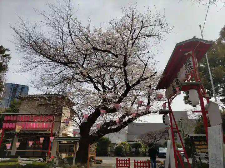 居木神社の自然