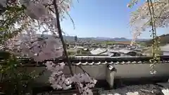 宝泉寺(京都府)