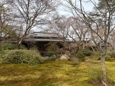 宝厳院の{uncategorized: "未分類", other: "その他", undefined: "問題あり", building: "その他建物", grave: "お墓", sacred_gate: "鳥居", guardian: "狛犬", statue: "像", buddha: "仏像", history: "歴史", nature: "自然", garden: "庭園", animal: "動物", pagoda: "塔", temizu: "手水舎", mountain_gate: "山門・神門", sanctuary: "本殿・本堂", subordinate: "末社・摂社", art: "芸術", scenery: "景色", jizo: "地蔵", ema: "絵馬", goshuin: "御朱印", omikuji: "おみくじ", items: "授与品その他", amulet: "お守り", goshuincho: "御朱印帳", eats: "食事", festival: "お祭り", votive_dance: "神楽", shichigosan: "七五三参", wedding: "結婚式", experience: "体験その他", initially: "初詣", around: "周辺", anti_infection: "感染症対策"}