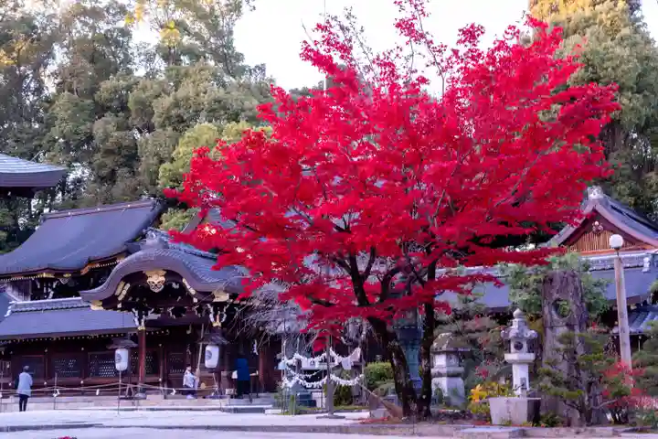 今宮神社(京都府)