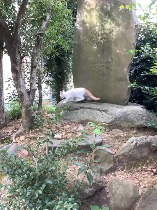 神明社(鳥居松町)の動物