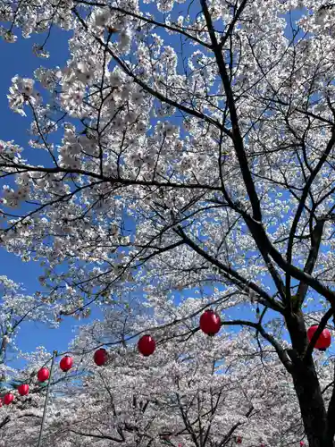 櫻岡大神宮の自然
