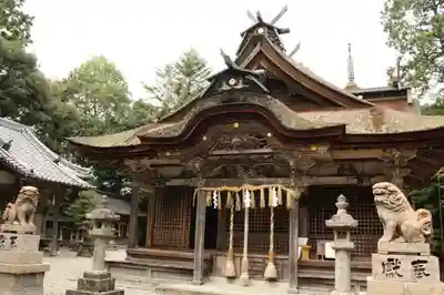 柏原八幡宮の本殿・本堂