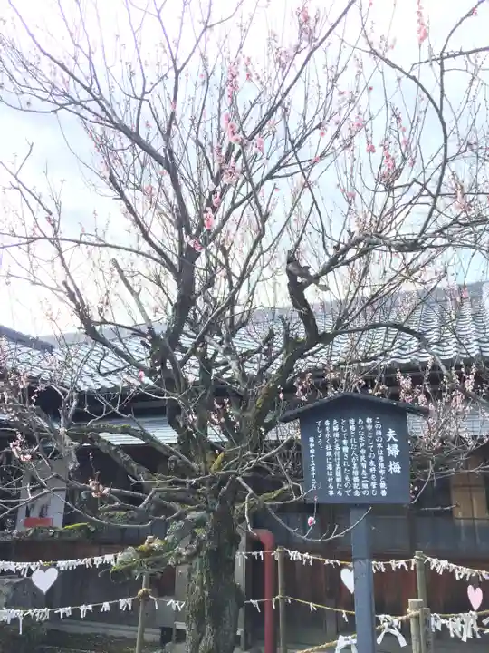 滋賀県護国神社の自然