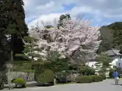 御寺 泉涌寺の庭園