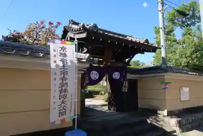 妙光寺(京都府)