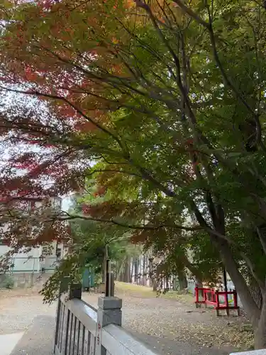 前原御嶽神社(千葉県)