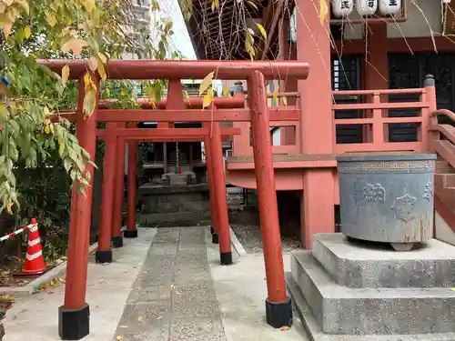 川越氷川神社(埼玉県)