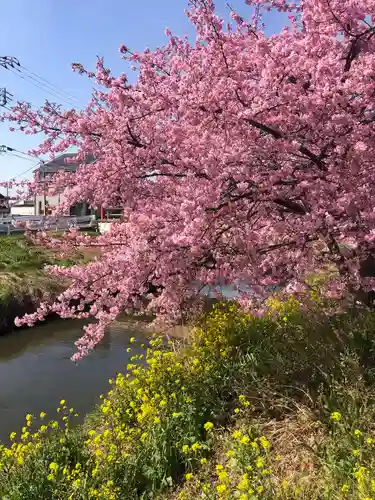 鷲宮神社(埼玉県)