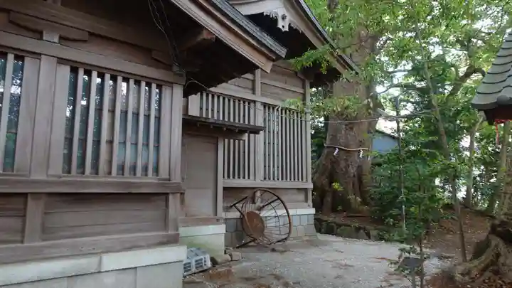 今宮神社の本殿・本堂