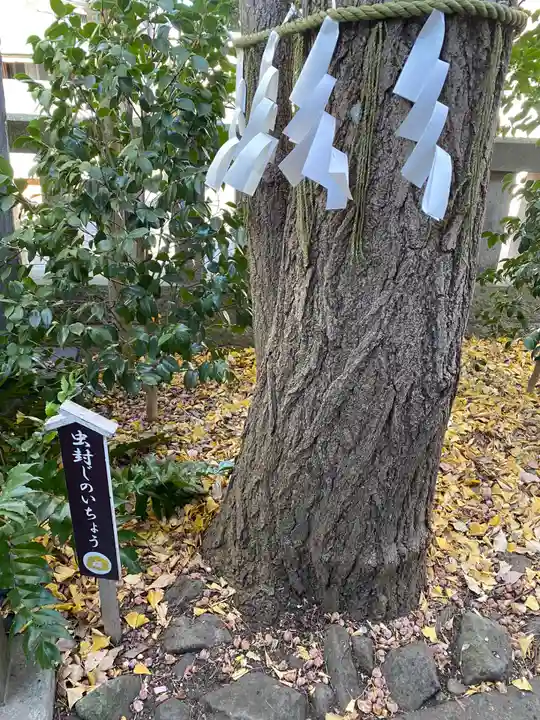 行田八幡神社(埼玉県)
