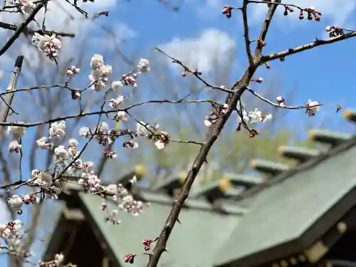 札幌諏訪神社の自然