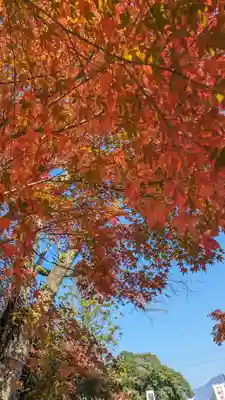 鍬山神社(京都府)