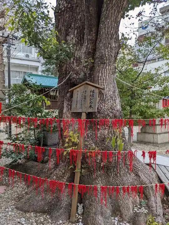 三輪神社の自然