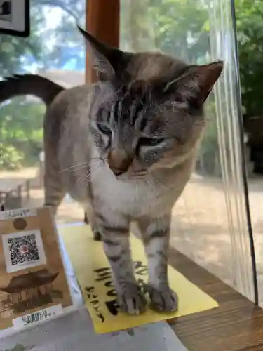 白鬚神社(宮崎県)