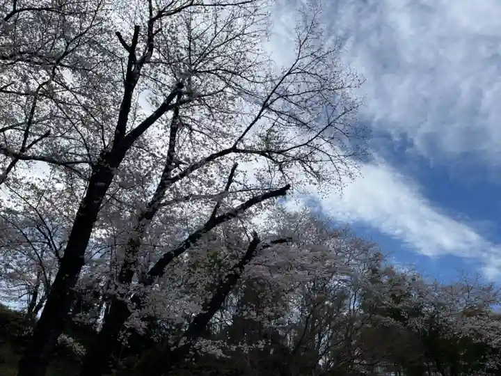 天台宗 長窪山 正覚寺の自然