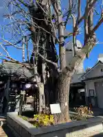 飛木稲荷神社(東京都)