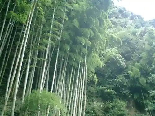 円応寺のその他建物