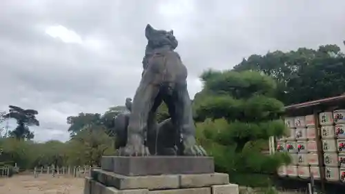 結城神社の狛犬