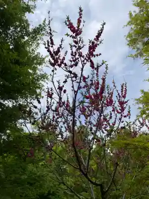 歌泉堂（春日大社神苑萬葉植物園内鎮座）(奈良県)