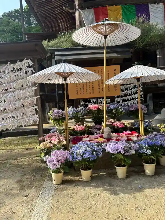 岡寺(龍蓋寺)の{uncategorized: "未分類", other: "その他", undefined: "問題あり", building: "その他建物", grave: "お墓", sacred_gate: "鳥居", guardian: "狛犬", statue: "像", buddha: "仏像", history: "歴史", nature: "自然", garden: "庭園", animal: "動物", pagoda: "塔", temizu: "手水舎", mountain_gate: "山門・神門", sanctuary: "本殿・本堂", subordinate: "末社・摂社", art: "芸術", scenery: "景色", jizo: "地蔵", ema: "絵馬", goshuin: "御朱印", omikuji: "おみくじ", items: "授与品その他", amulet: "お守り", goshuincho: "御朱印帳", eats: "食事", festival: "お祭り", votive_dance: "神楽", shichigosan: "七五三参", wedding: "結婚式", experience: "体験その他", initially: "初詣", around: "周辺", anti_infection: "感染症対策"}