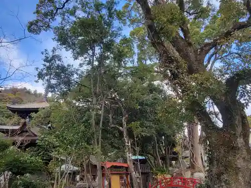 石手寺(愛媛県)