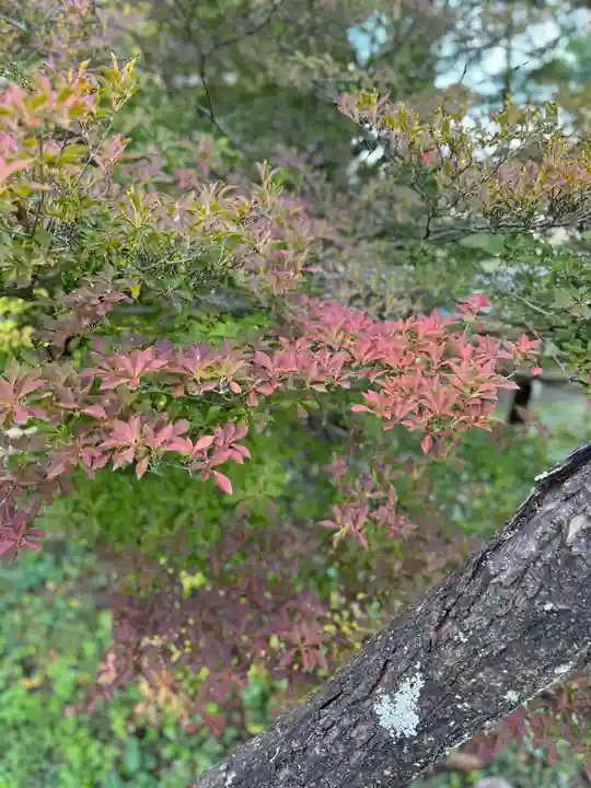 諏訪神社(長野県)