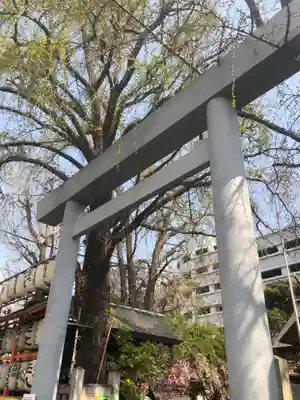 波除神社（波除稲荷神社）の鳥居