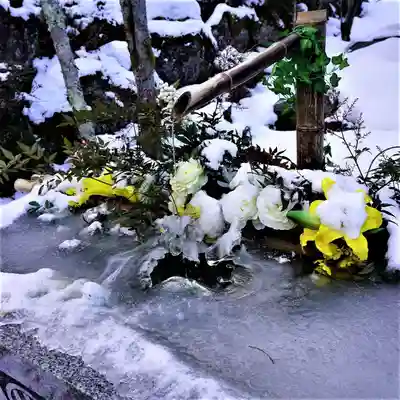 陽林寺の手水舎