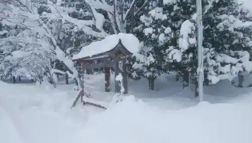 風連神社のおみくじ